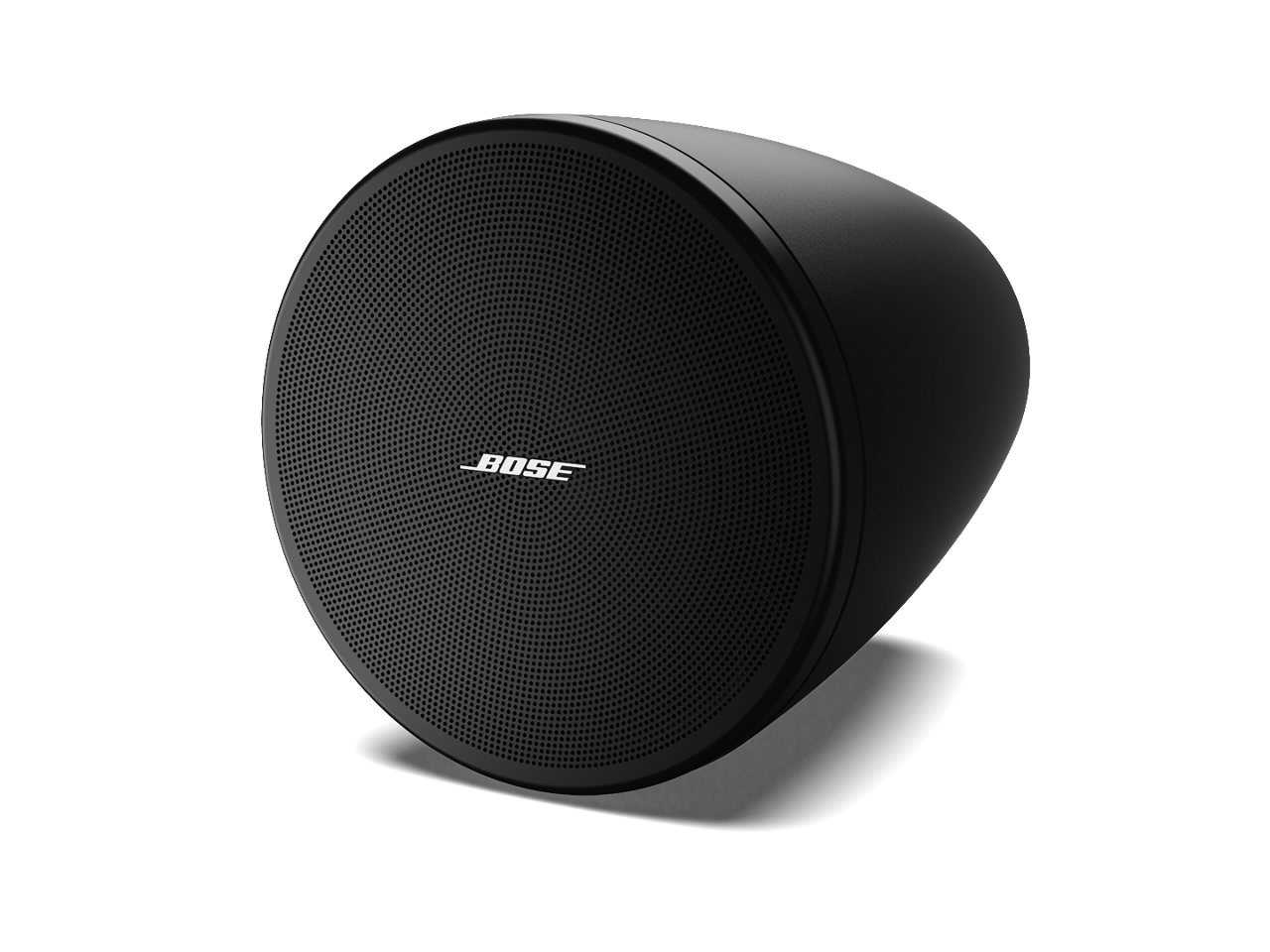 Bose  DesignMax DM3P 