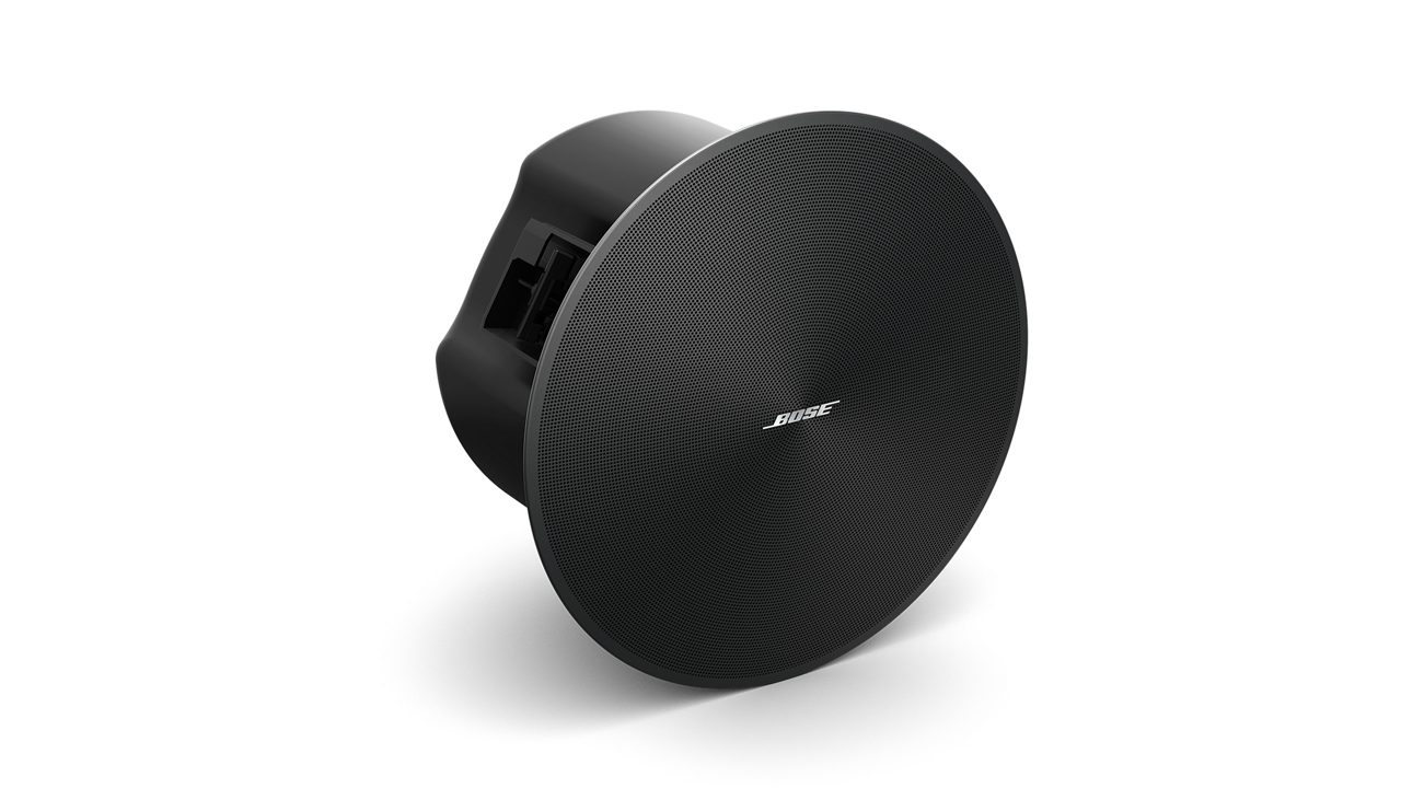 Bose DesignMax DM6C (par)